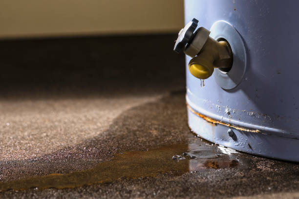 Best Flood damage cleanup  in South Houston, TX
