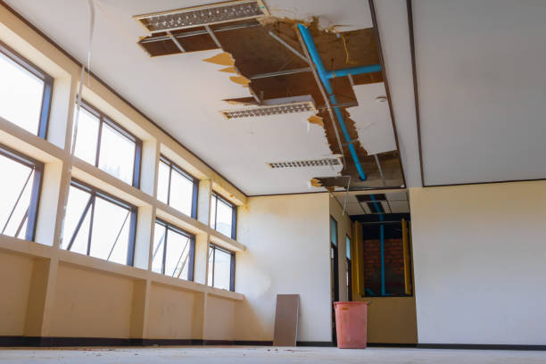 Best Water damage restoration mold remediation  in South Houston, TX