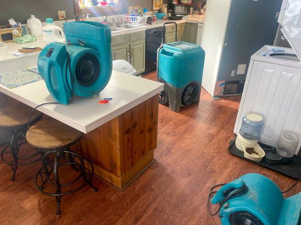 Best Carpet water damage restoration  in South Houston, TX