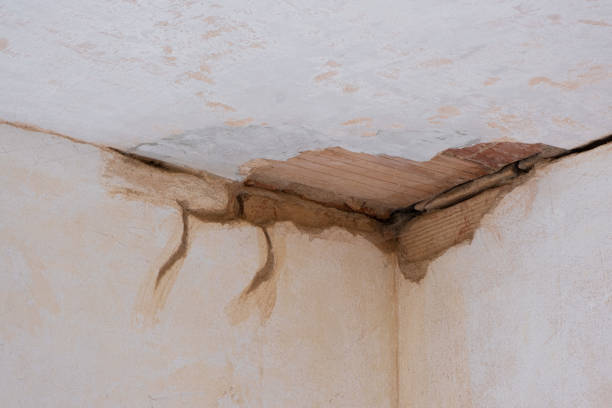 Best Water damage cleanup near me  in South Houston, TX