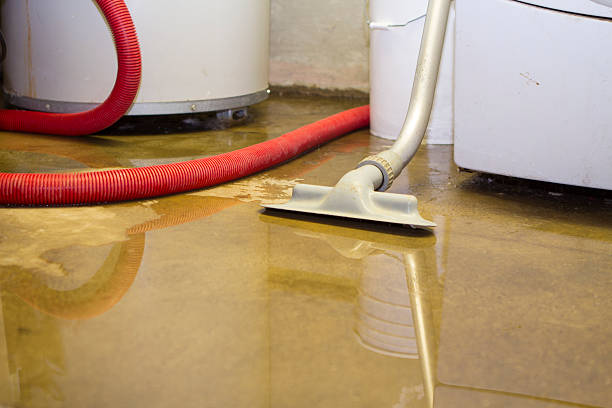 Best Water damage mitigation services  in South Houston, TX