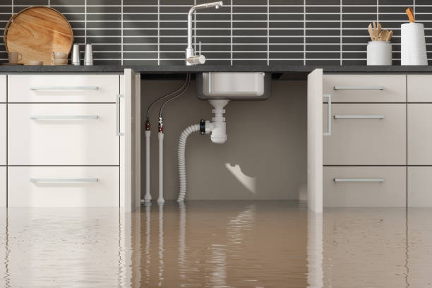 Best 24/7 water damage repair  in South Houston, TX