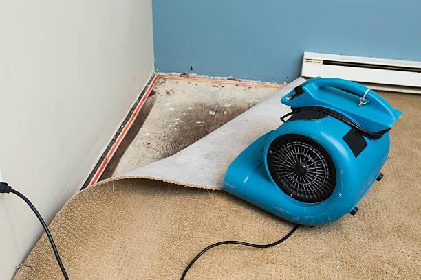 Best Water damage restoration insurance claims  in South Houston, TX